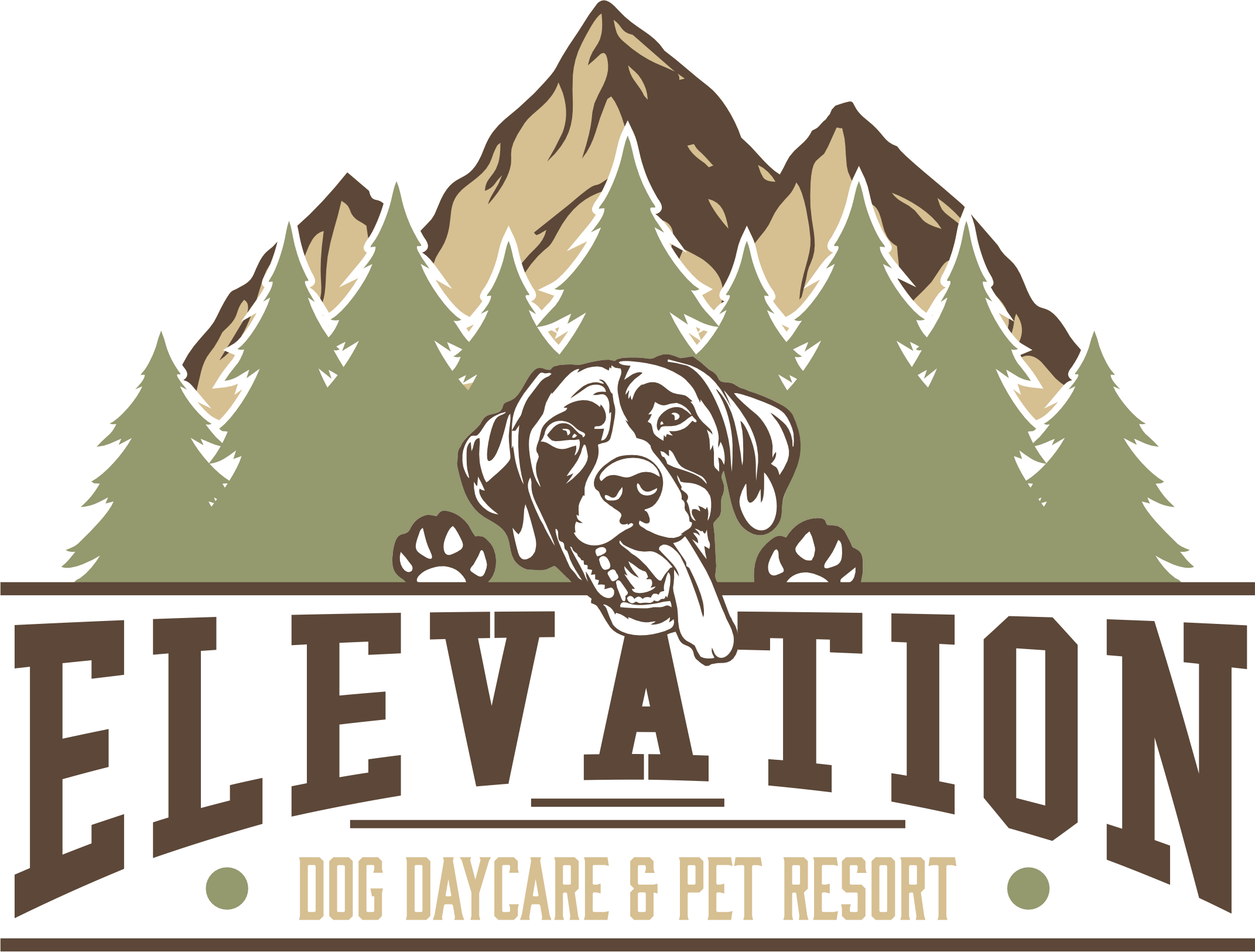 Elevation Dog Daycare and Pet Resort