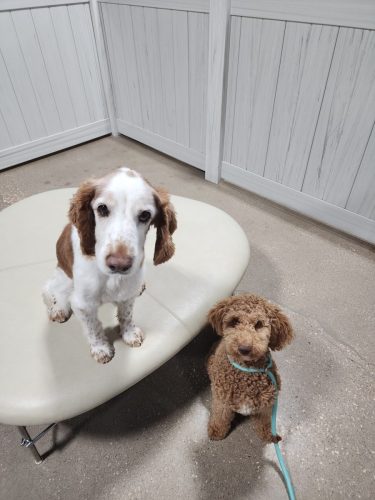 480280719_122233241576067416_6809758019949463570_n