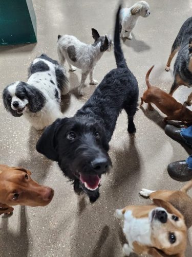 Daycare Home Page Pic (1)