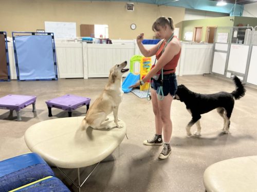 1000007087 9636dd44e0c9cab11443cb1c8bccfce8-8 6 2025-6 00 19-PM