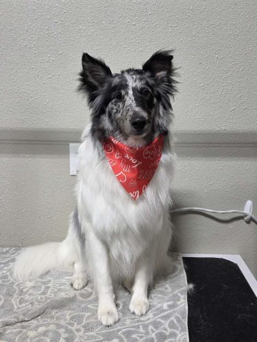 567f43b9 414f 4556 8b6d 719f6a7687ba b8ba64a7-5ab3-44f0-937e-a692800b90c1