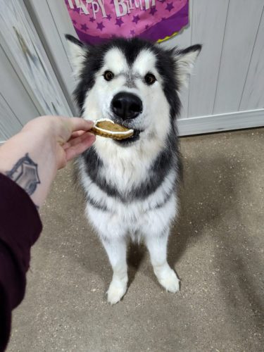 IMG 20251007 145035826 HDR (1)