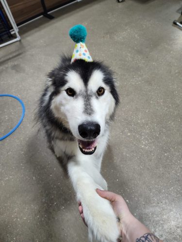 IMG 20251007 145205952 (1)