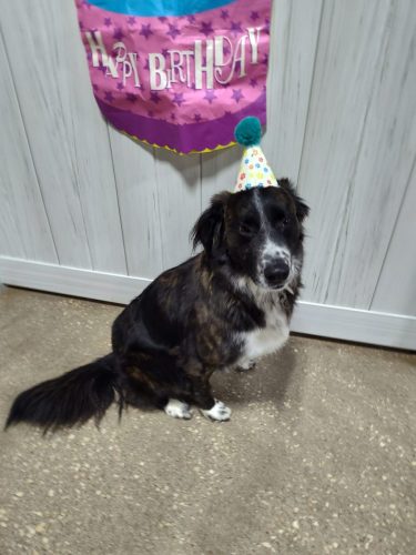 IMG 20251102 074333343 HDR