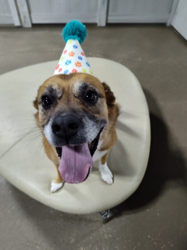 IMG 20251105 141808967 HDR (1)