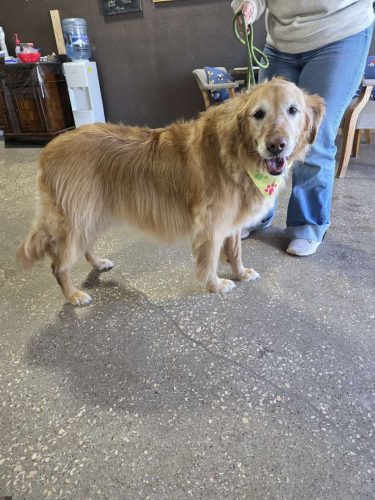 c13ccda2 e427 4e65 9506 5c60267b9958 40cba0b1-df0a-4974-82df-9dda0add7e97