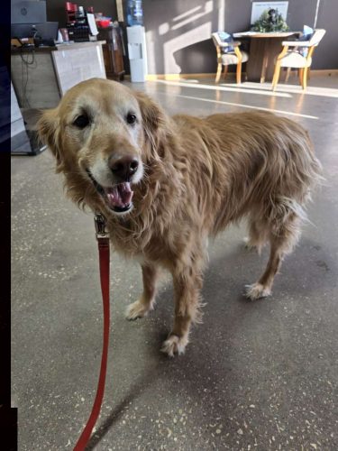 fcc6f93c cd0b 4324 8e50 ed4adbbe9753 13fe6924-0291-4729-824b-c2d91da28c3f